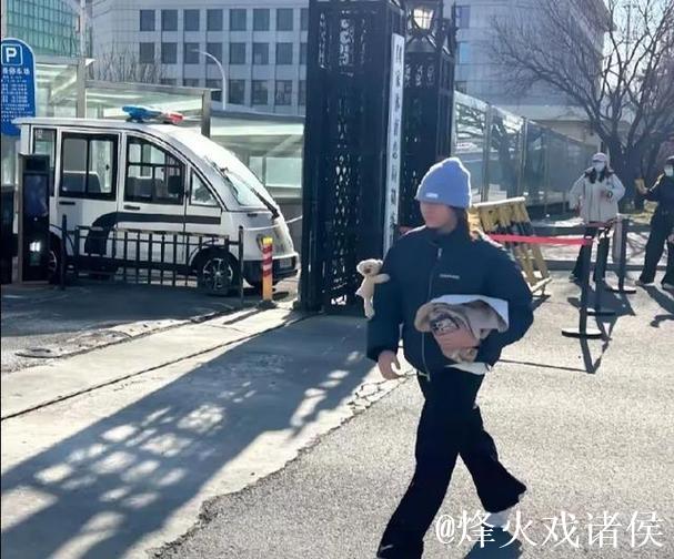 偶遇冬训婵宝:碧波里的倔强身影,与永不沉没的冠军心 偶遇冬训婵宝:碧波里的倔强身影,与永不沉没的冠军心